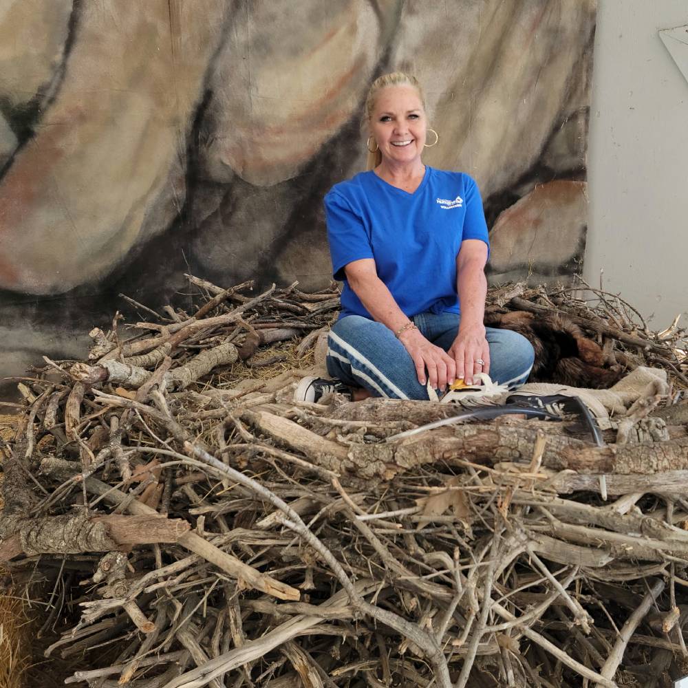 Stacey Mae Rudge in an Owl Nest