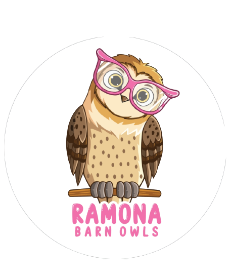 Ramona Barn Owls Merch Sticker Option Two