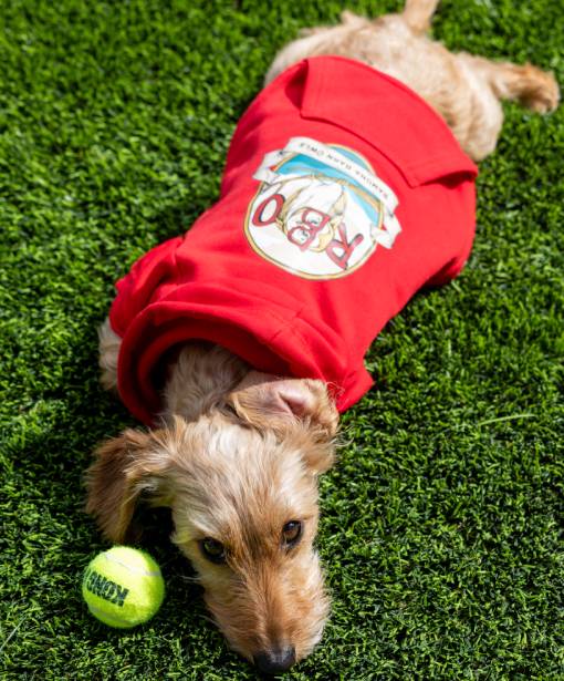 Augie in Ramona Barn Owl Red Hoodie