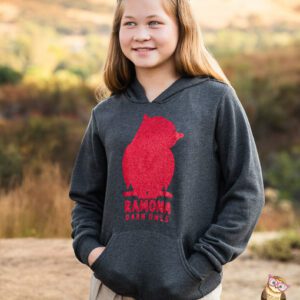 Youth Hoodie with Glitter Design