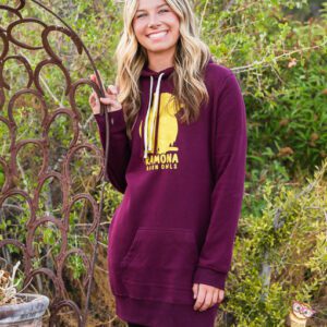 Maroon sweatshirt dress with gold glitter owl.