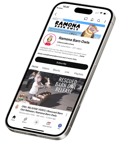 Mobile--Subscribe-on-YT